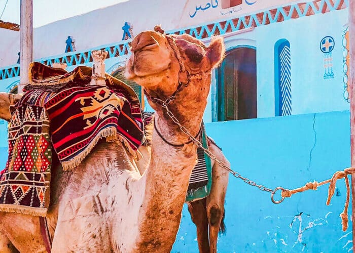 the nubian villages in Aswan